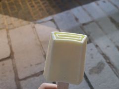 -钟薛高(南头古城店)