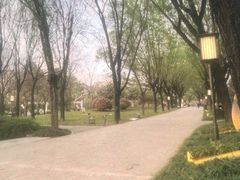 -唐城墙遗址公园