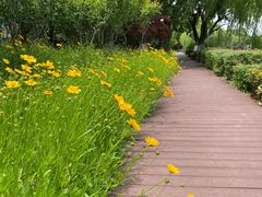 -上海市保健医疗中心