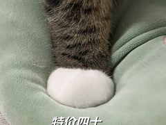-北京索菲特大酒店