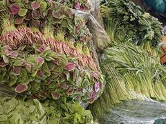 -上海龙吴水胜海发市场