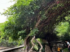 -烟台山景区