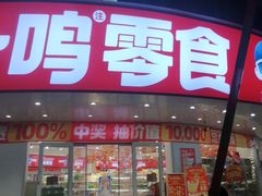 -赵一鸣零食(广东佛山大沥镇嘉洲店)