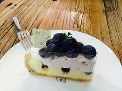 -倾城密码(大唐店)