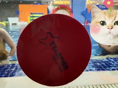 -戊辰亲子游泳俱乐部