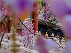 -北京国子监胡同