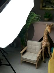 -童年儿童摄影(大连店)