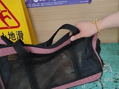 -瑞派天使宠物医院·神经外科·骨科·核磁(洛川中路店)