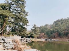-香山公园