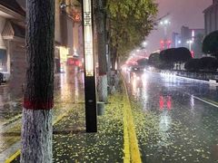 -里岛烤鱼(东港凯虹广场店)