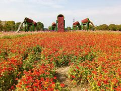 -贡湖湾湿地公园