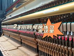 -缪斯琴行英皇小提琴.钢琴.吉他(张江店)