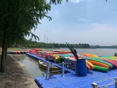 -上海海湾国家森林公园