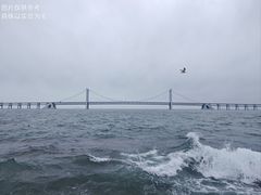 -星海湾跨海大桥