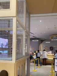 -超级奈尔宝SUPER NEOBIO(杭州星光店)