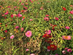 -白塘生态植物园