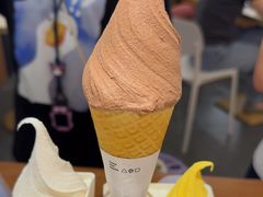 -野人先生Gelato(上海长宁龙之梦店)