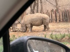 -北京野生动物园