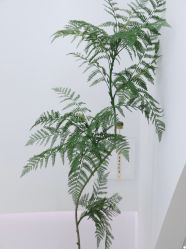 点击看大图 -臣丽纹眉品牌连锁