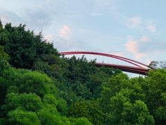 -金鸡山公园