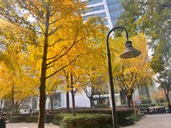 -上海不夜城广场(上海不夜城金融大厦店)