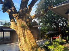 -Chom Cafe and Restaurant