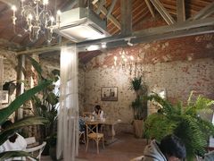 -Jo's Garden