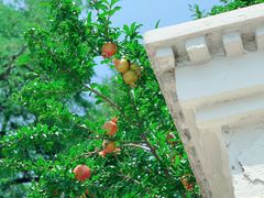 -天津意大利风情旅游区