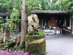 -青城甲(青城山店)