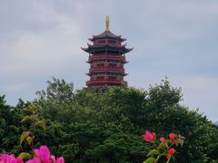 -厦门园林博览苑