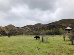 -墨石公园景区