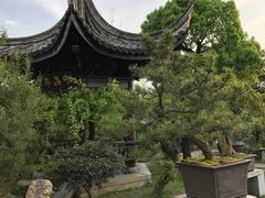 -万景茶庄·台州菜