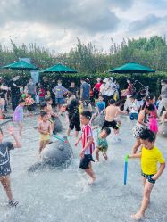 -季高兔窝窝亲子园(上海薰衣草公园店)