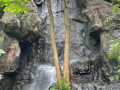 -天目湖山水园
