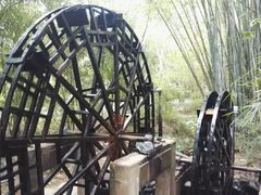 -大屏嶂森林公园