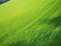 -重庆中央公园(渝北区)