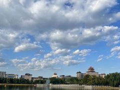 -莲花池公园