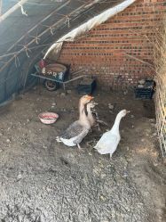 -Oasis Beauty水磨坊科技美肤中心