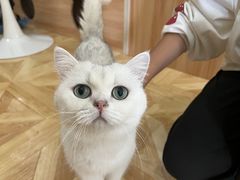 -青柠影咖·私人影院(龙泉店)