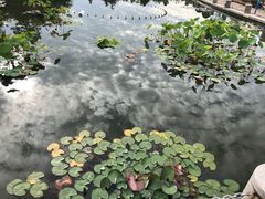 -济南国际园博园