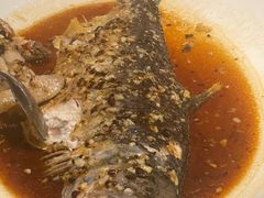 -猪肉婆私房菜(容桂总店)