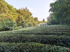 -敬亭山风景名胜区