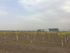 -南开大学滨海学院