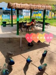 -萌宠亲子动物乐园(槐房万达店)