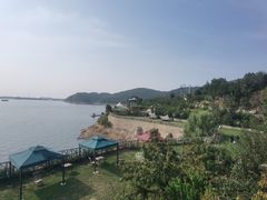 -望湖烤鱼