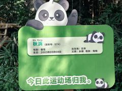 -深圳野生动物园