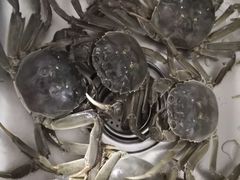 -海鲜冷冻副食批发市场(和生国际店)