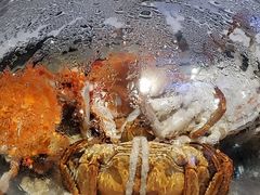 -半岛听涛蒸汽海鲜自助(K11店)