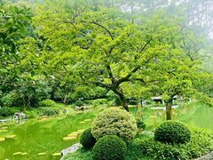-云溪植物园