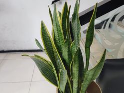 -LJOY丽锦造型·烫发染发